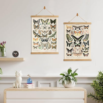 XIAOAIKA 2 Pack Vintage Butterfly Poster - Cottagecore Room Decor Aesthetic - Classic Lepidoptera Wall Art with Wooden Frame - Educational Decor for Nature Enthusiasts and Collectors 16 x 23 inches