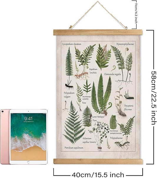 XIAOAIKA Botanical Fern Varieties Poster - Vintage Illustrated Guide with Wooden Frame - Educational Plant Wall Art for Home, Office, or Classroom Decor 16 x 23 Inches