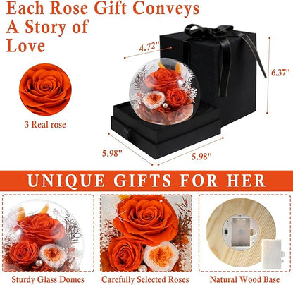 FIACO Preserved Rose Birthday Gift for Women Forever Fresh Flowers for Prime Delivery Gift for Mom Grandma Wife Valentines Mothers Day Christmas Anniversary Eternal Roses in Glass Dome