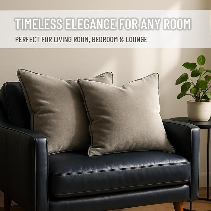 2 Pack Velvet Decorative Throw Pillow Covers, 18"x18", Dove Grey, Solid, Modern, Contrast Piping, Indoor Use, Bedroom & Living Room