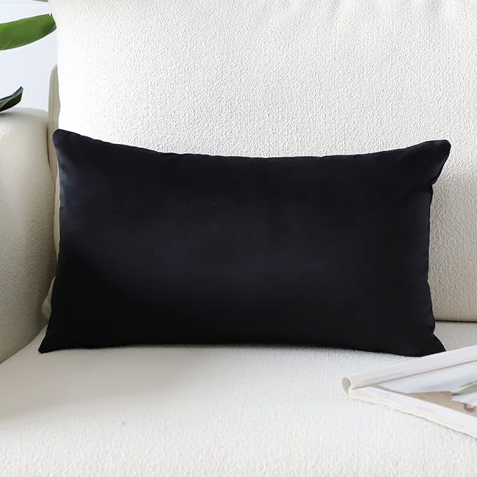 Artscope Luxury Velvet Pillow Covers Super Soft Decorative Rectangle Throw Pillow Covers Case Cushion Covers for Sofa Couch Bedroom Car Decor 16x24 Inch Black