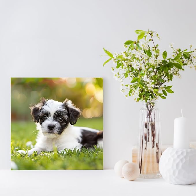 YYYYHPP Canvas Prints with Your Photos, Personalized Photo to Canvas Wall Art,Canvas Printing for Wedding, Family, Baby, Pets, Home Office Decor, Wrapped Frame 10"x10"