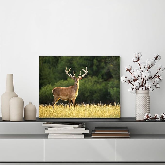 YYYYHPP Canvas Prints with Your Photos, Personalized Photo to Canvas Wall Art,Canvas Printing for Wedding, Family, Baby, Pets, Home Office Decor, Wrapped Frame 16"x12"