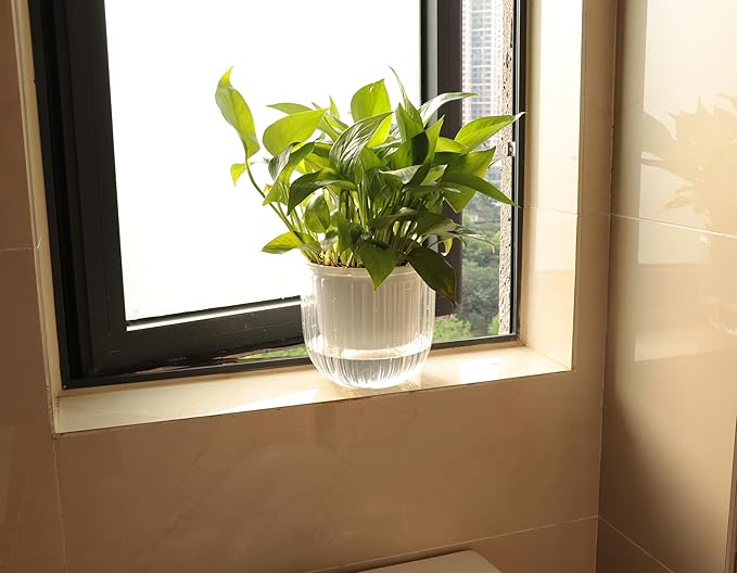 Meicynhoger 2-Pack Clear Self-Watering Hanging Planter for Spider Plant,Ivy,Orchids,Pothos - 6.5" Flower Pot with Hooks for Indoor Outdoor,Table, Balcony, Wall,Deck,Garden Transparent