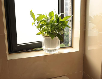 Meicynhoger 2-Pack Clear Self-Watering Hanging Planter for Spider Plant,Ivy,Orchids,Pothos - 6.5" Flower Pot with Hooks for Indoor Outdoor,Table, Balcony, Wall,Deck,Garden Transparent