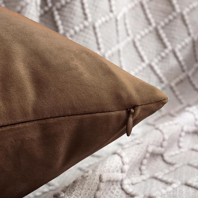 Jeneoo Velvet Throw Pillow Covers 18x18 Inch 2 Pack, Super Soft Thick Decorative Square Cushion Cases for Sofa Couch Bedroom Car, Bear Brown