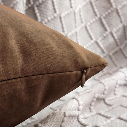 Jeneoo Velvet Throw Pillow Covers 18x18 Inch 2 Pack, Super Soft Thick Decorative Square Cushion Cases for Sofa Couch Bedroom Car, Bear Brown