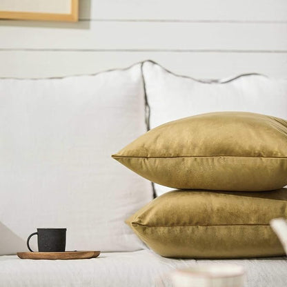 FY FIBER HOUSE Pack of 2 Velvet Throw Pillow Covers Decorative Square Pillowcase Soft Solid Cushion Case for Sofa/Couch Use, 20 x 20 Inch Coffee