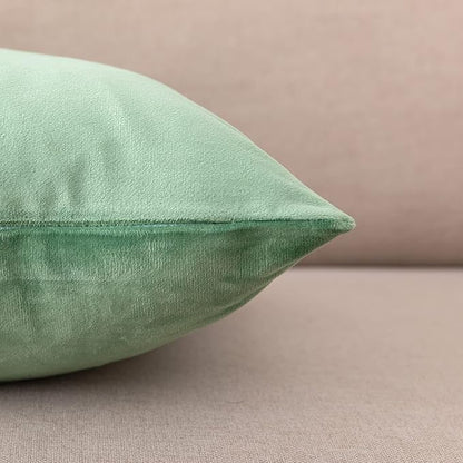 NiNi ALL Decorative Throw Pillow Covers Pack of 2, Velvet Cushion Case for Couch Bedroom Living Room Outdoor, Pillow Covers 16x16 Inch（40 x 40 cm） Sage Green