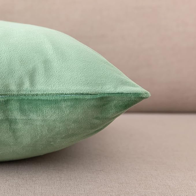NiNi ALL Decorative Throw Pillow Covers Pack of 2, Velvet Cushion Case for Couch Bedroom Living Room Outdoor, Pillow Covers 18x18 Inch（45 x 45 cm） Sage Green