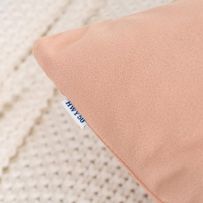 HWY 50 Dusty Pink Velvet Throw Pillow Covers 20x20 Inch, Pack of 2 Soft Cozy Solid Decorative Luxury Cushion Cases for Couch Sofa Bed Living Room Bedroom