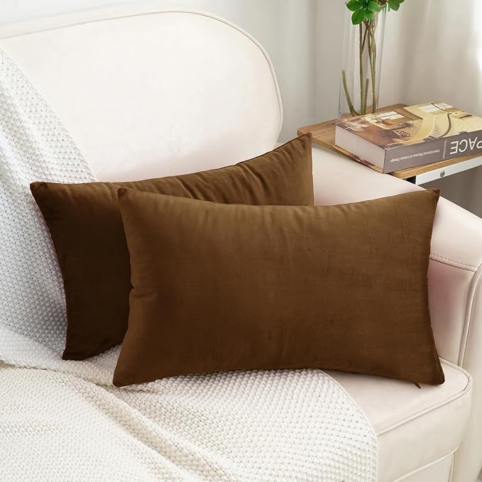 HWY 50 Coffee Velvet Rectangular Throw Pillow Covers 12x20 Inch, Pack of 2 Soft Cozy Solid Decorative Luxury Cushion Cases for Couch Sofa Bed Living Room Bedroom