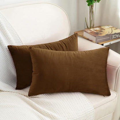 HWY 50 Coffee Velvet Rectangular Throw Pillow Covers 12x20 Inch, Pack of 2 Soft Cozy Solid Decorative Luxury Cushion Cases for Couch Sofa Bed Living Room Bedroom