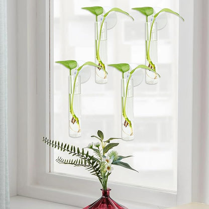 4PCS Wall Hanging Planter Propagation Stations, Plant Tube with Suction Cup Hook, Test Tube Propagation Station Wall Clear Plant Vase No Nails with Bottle Brush Flower Plant Terrarium