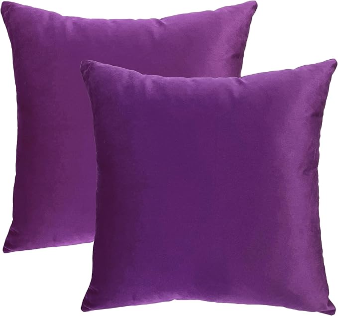 RELY+ Pack of 2 Throw Pillow Covers 16x16 Inch Velvet Soft Cozy Solid Decoration Gifts Pillow Covers Luxury Cushion Case for Sofa Couch Bedroom Living Room (Purple, 20 x 20)