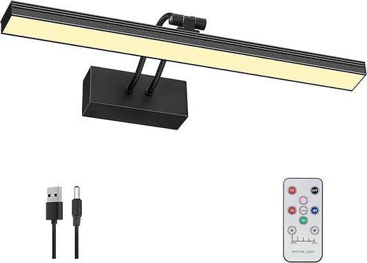 FUNCHDAY Picture Light,3CCT Battery Art Lights for Wall,Wireless Remote Painting Light with Timer and Dimmable,16”Metal Display Lighting for Artwork,Portrait,Gallery (Black-L)
