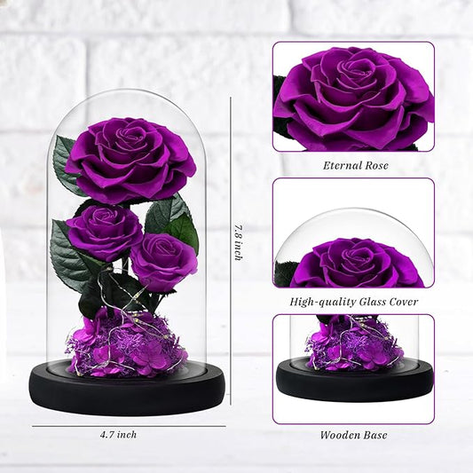 3 Preserved Flowers Roses in Glass Dome with Light for Beauty and The Beast Decor Real Rosas Eternas for Women Mom Birthday,Forever Purple Roses for Delivery, for Wife Girlfriend Her