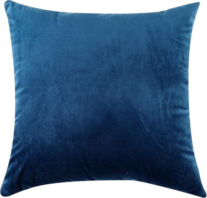 NiNi ALL Decorative Throw Pillow Covers Velvet 20x20 Inch Pack of 2 Blue Cushion Covers Soft for Couch Sofa Bedroom Living Room Outdoor