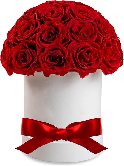 27 Forever Roses Dome in Luxury White Box, Eternal Real Roses Birthday Gifts for Women, Preserved Flowers for Delivery Prime, Anniversary, Valentine's Day, Mothers Day for Mom (Red)