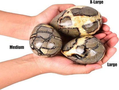 AMOYSTONE Natural Septarian Dragon Egg for Home Decor Ornamet Specimen Large Single 3-3.5", for Table Decor, Crystal Healer Grid Stone Witchcraft