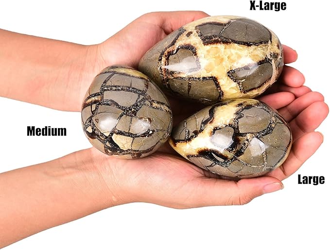 AMOYSTONE Natural Septarium Quartz Crystal Egg with Base for Healing Reiki Single 2.5-3", for Healing Reiki Witchcraft Meditation