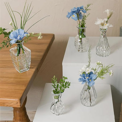 Glass Bud Vase Set of 5 Pcs Small Minimalist Vases for Flowers, Vintage Rustic Home Decor for Table Centerpiece Wedding Party, Modern Clear Aromatherapy Bottle for Living Room Bedroom