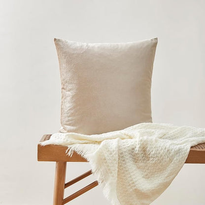 GIGIZAZA Velvet Throw Pillow Covers 22x22,Pack of 2 Champagne Beige Modern Pillow Covers Square Big Solid Pillow Vintage Cases for Living Room Couch