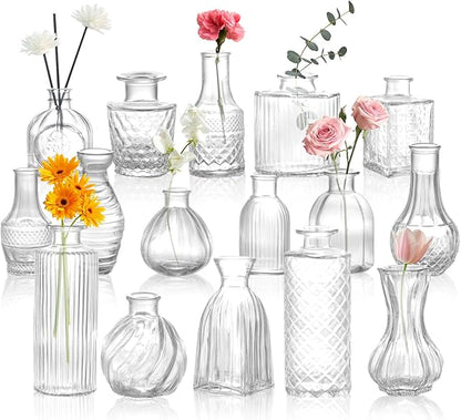 DomeStar 16PCS Glass Bud Vases Set, Small Clear Cylinder Vases for Plant Propagation Station Plant Terrarium, Vintage Clear Bud Vase in Bulk for Rustic Wedding Centerpieces Home Table Flower Decor