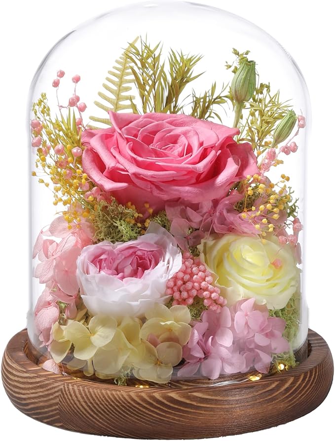 LOVENFOLD Flowers for Delivery Preserved Flowers Pink Roses with LED Light in a Glass Dome,Long Lasting Forever Flowers Birthday Gifts for Women Daughter Mom Wife Friend（Pink Rose）