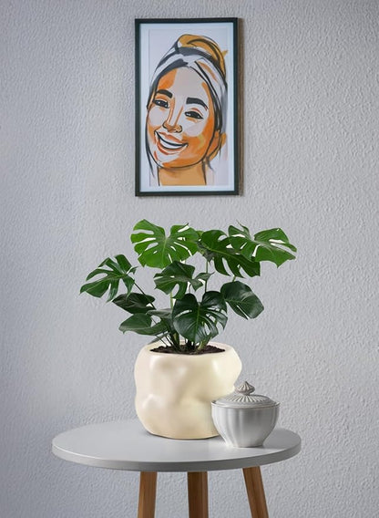 Serene Spaces Living Ceramic Sculptural Vase, Modern Organic Vase for Home, Event Decor, Table Centerpiece, or Gifting - Perfect for Fresh or Dried Flowers, 6.5" Diameter & 5" Tall, Pack of 12