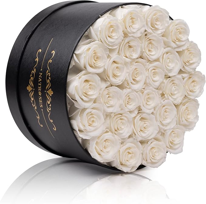 NATROSES 27 Piece Forever Preserved Roses in a Box, Preserved Flowers for Delivery Birthday, Flowers Roses Gifts for Her (White)