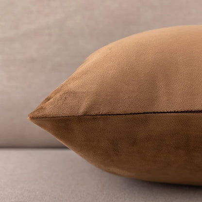 NiNi ALL Decorative Throw Pillow Covers Velvet 22x22 Inch Pack of 2 Brown Cushion Covers Soft for Couch Sofa Bedroom Living Room Outdoor