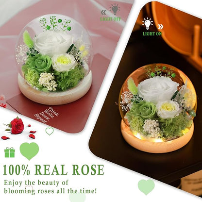 FIACO Preserved Rose Birthday Gift for Women Forever Fresh Flowers for Prime Delivery Gift for Mom Grandma Wife Valentines Mothers Day Christmas Anniversary Eternal Roses in Glass Dome