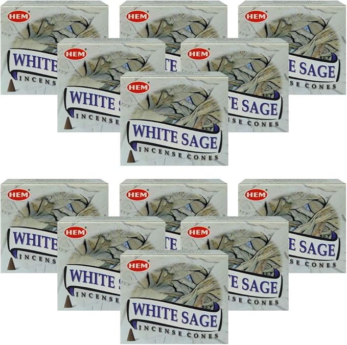 White Sage Incense Cones and Cone Incense Burner Bundle Insence Insense Hem Incense