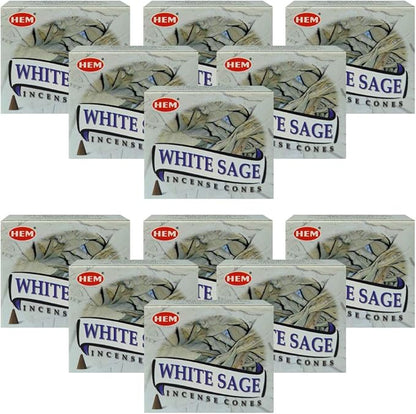 White Sage Incense Cones and Cone Incense Burner Bundle Insence Insense Hem Incense