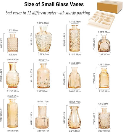 Glass Bud Vases Set of 12 Small Clear Amber Vases for Centerpieces Mini Glass Vases in Bulk Vintage Vases Assorted Tiny Flower Vase for Baby Shower Wedding Floral Arrangements Home Table Decorations