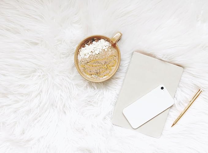 Faux Fur Small Rug 2 x 3 ft White Shaggy Sheepskin Machine Washable Fuzzy Area Rug Super Soft Fluffy Plush Carpet for Bedroom Living Room Floor Nursery Kids Room Bedside Rug
