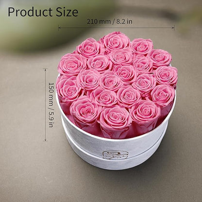 Gifts for Women Preserved Roses Flower Box, Luxury Velvet Box with 20 Roses, Preserved Flowers, Romantic Gift for Her, Wife, Girlfriend, Birthday Anniversary Christmas (Pink)