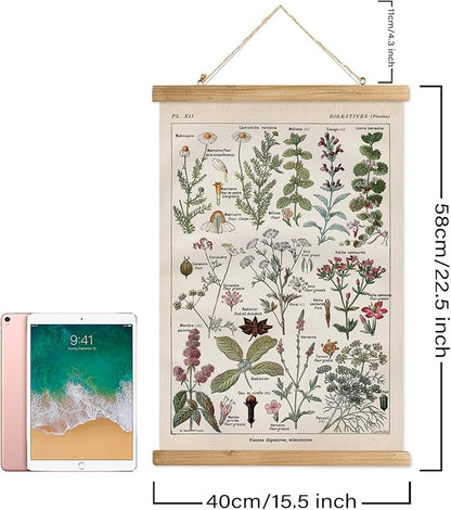 Vintage Spring Flower Poster Print, Botanical Educational Illustration, Rustic Wooden Hanger Frame, Linen Canvas Wall Art Decor, Farmhouse Cottagecore Style for Living Room Bedroom Office (16" x 23")