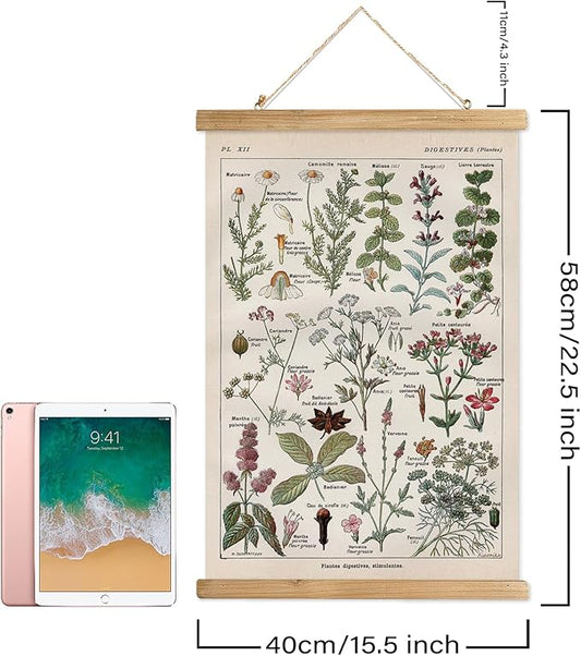 Vintage Spring Flower Poster Print, Botanical Educational Illustration, Rustic Wooden Hanger Frame, Linen Canvas Wall Art Decor, Farmhouse Cottagecore Style for Living Room Bedroom Office (16" x 23")