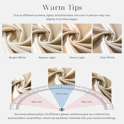 Phantoscope Pack of 2 Velvet Decorative Throw Pillow Covers Soft Solid Square Cushion Case for Couch Shiny Beige 12 x 20 inches 30 x 50 cm