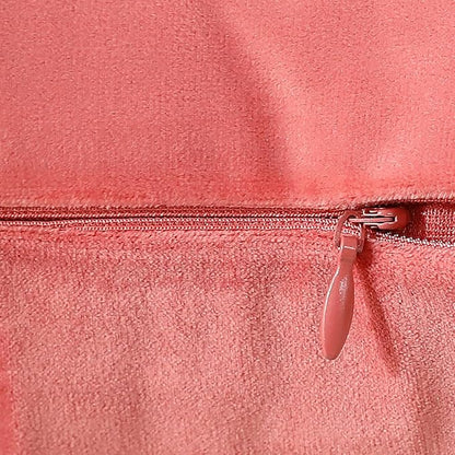 mixeoo Comfy Salmon Pink Throw Pillow Covers Decorative Square Solid Velvet Super Soft Cushion Cases Home Decor for Sofa Couch Living Room, Set of 2, 16 x 16 Inch