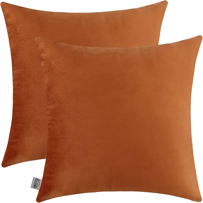 mixeoo Comfy Terracotta Couch Throw Pillow Covers Decorative Square Solid Velvet Soft Cushion Cases Home Decor for Sofa Couch Living Room, Set of 2, 16 x 16 Inch