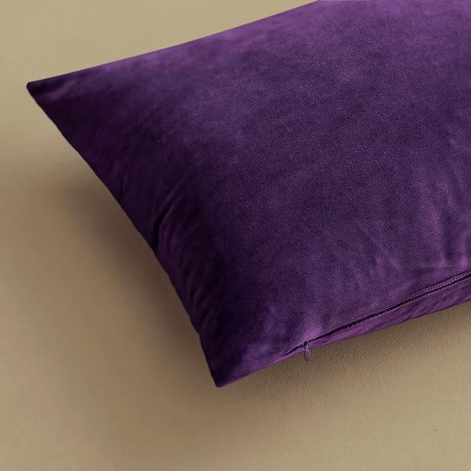 MIULEE Velvet Throw Pillow Covers 18x18 Inch, Pack of 2 - Eggplant Purple, Super Soft Decorative Square Cushion Cases Modern Luxury Spring Home Decor for Sofa,Couch,Bed,Chair
