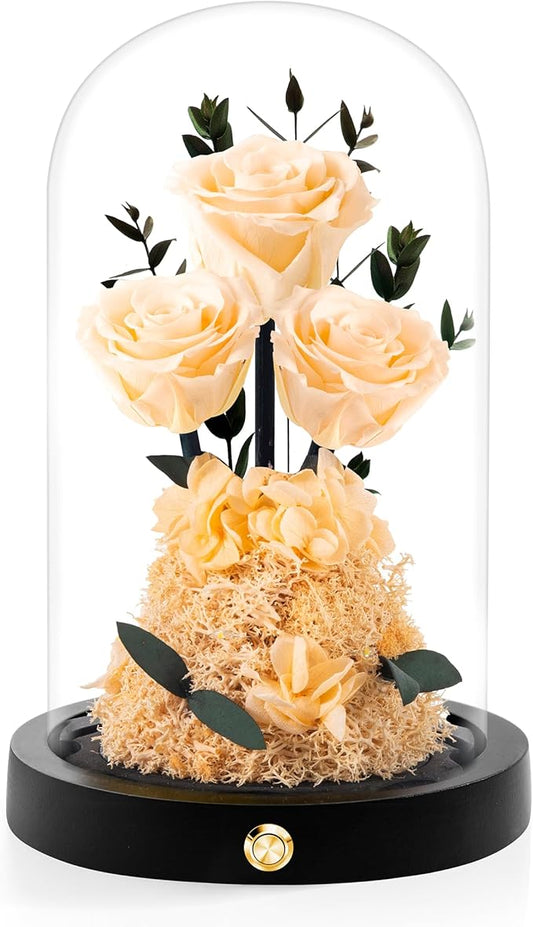 Valentines Day Flowers Roses Gifts for Her,Forever Real Preserved Roses in Glass Dome,Valentines Day Anniversary Birthday Gifts for Wife Girlfriend Women Mom Best Friend Her/Champagne