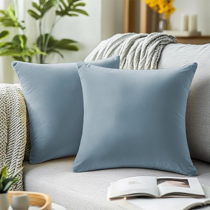 QUORGVES Light Blue Velvet Pillow Covers 24x24 Inch Set of 2, Soft Solid Decorative Square Throw Pillow Covers, Decor Cushion Covers for Bed Sofa Couch Bedroom Living Room - Coastal Sky Baby Blue
