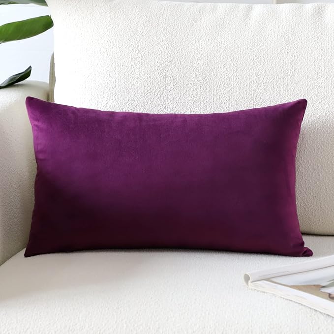 Artscope Luxury Velvet Pillow Covers Super Soft Decorative Rectangle Throw Pillow Covers Case Cushion Covers for Sofa Couch Bedroom Car Decor 16x24 Inch Eggplant Purple