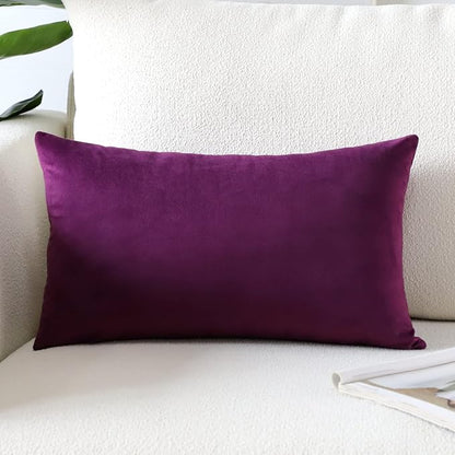 Artscope Luxury Velvet Pillow Covers Super Soft Decorative Rectangle Throw Pillow Covers Case Cushion Covers for Sofa Couch Bedroom Car Decor 16x24 Inch Eggplant Purple