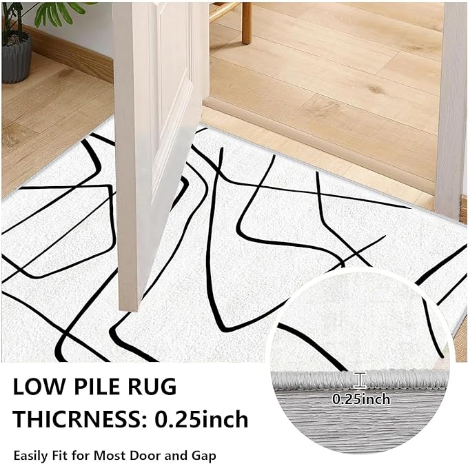 Black and White Rug - Abstract 5x8 Area Rug, Black and White Rugs for Living Room, Modern Rugs, Minimalist Washable Carpet, Contemporary Carpet Non Slip Home Decor, Curve Pattern