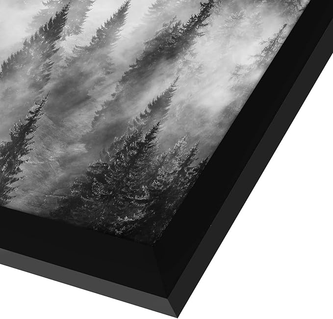 Americanflat 24x24 Picture Frame with Polished Plexiglass - Epic Collection - Square Picture Frame with Engineered Wood - Wide Photo Frames for Wall display - Black
